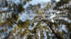 Лепидоцид® в защите леса