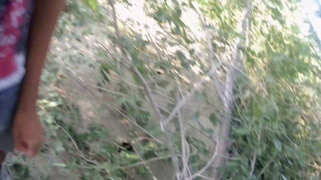 Сталк заброшки.😊