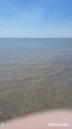 Море ракушечника на Азовском море