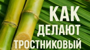 Как добывают тростниковый сахар