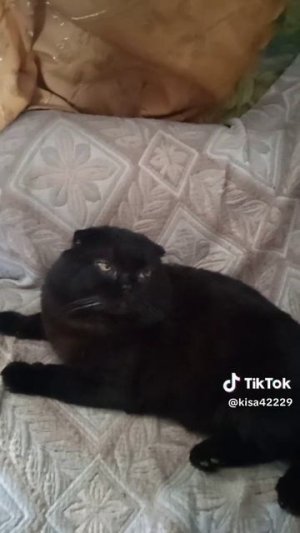 Ричард