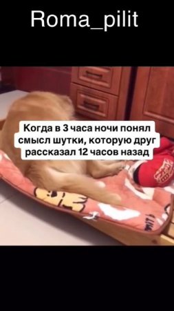 #смех #прикол #осознание #юмор