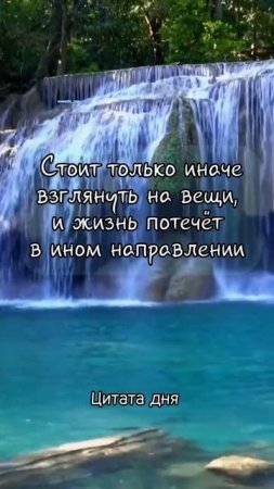 Цитата