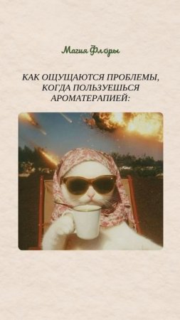 Поддержка для любых жизненных ситуаций ждет вас в «Магии Флоры» 💚