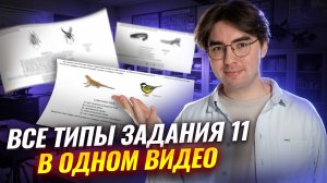 Задание 11 | Разбор всех типов задания из ОГЭ по биологии | Умскул