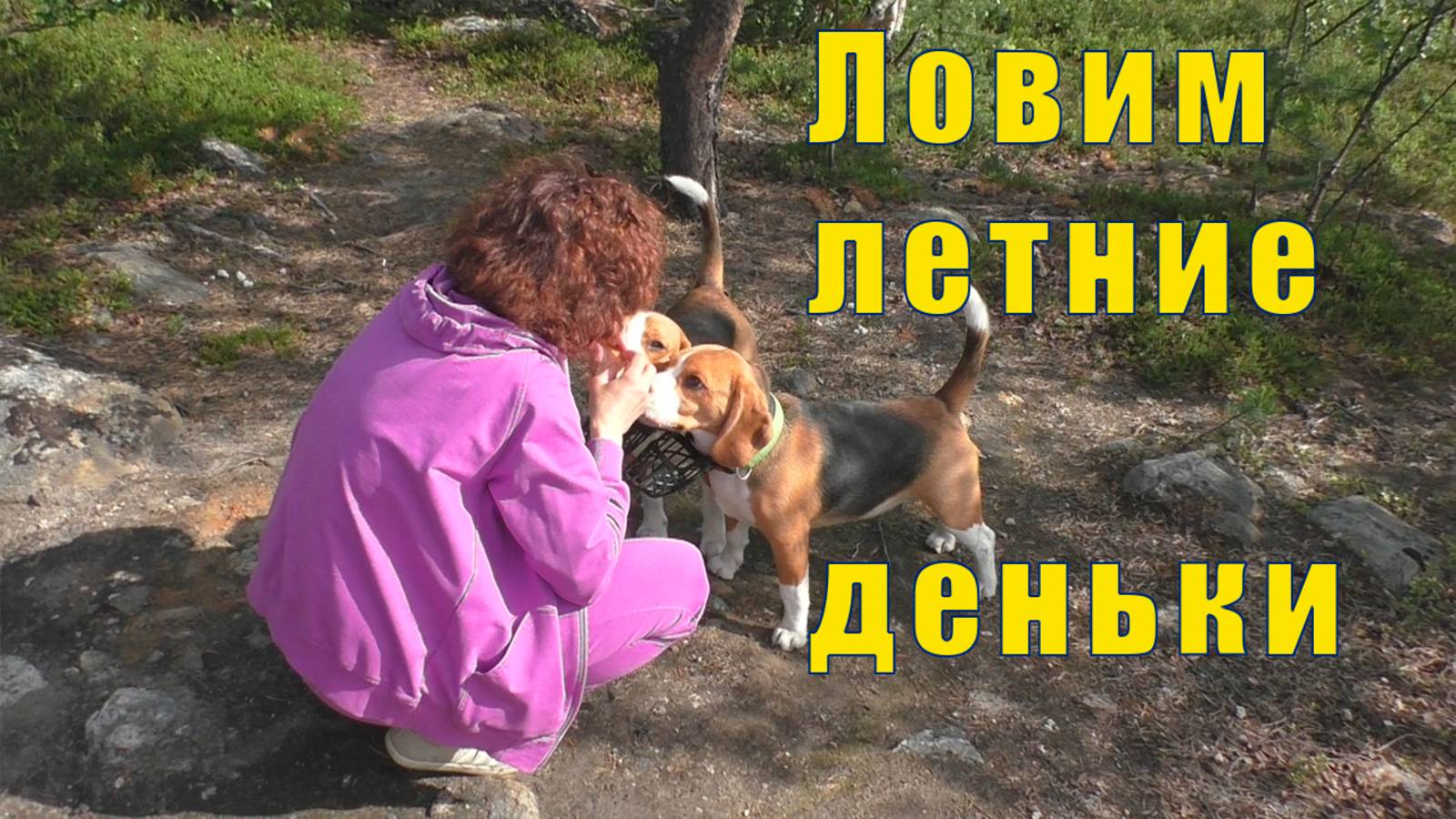 В МУРМАНСК ПРИШЛО ЛЕТО /ПИКНИК С БИГЛЮКАМИ /10 июля 2025