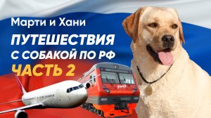 ПУТЕШЕСТВИЯ С СОБАКОЙ ПО РОССИИ / СЛОЖНО ИЛИ ВОЗМОЖНО? / ДОКУМЕНТЫ, ПРИВИВКИ / ЧАСТЬ 2