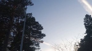 Заельцовский парк прогулка