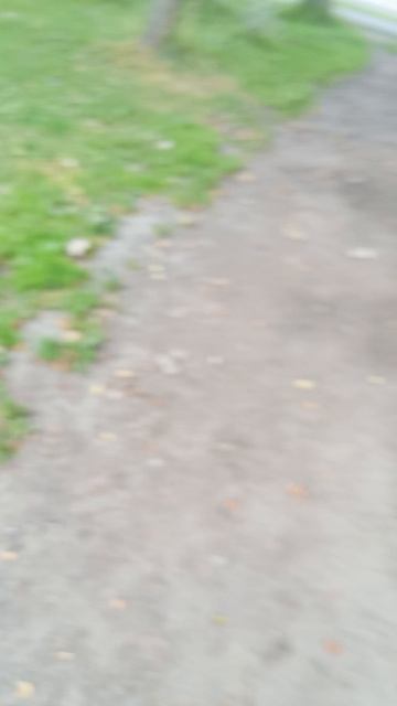 Заходи на Стрим смотреть онлайн