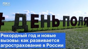 Рекордный год и новые вызовы: как развивается агрострахование в России
