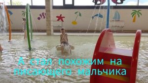 павлин