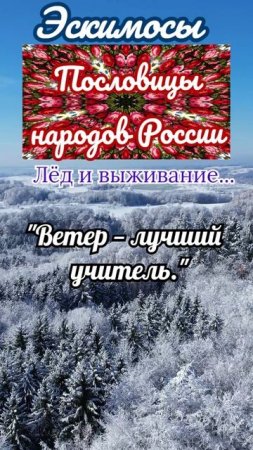 пословицы