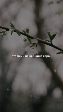 Это лучшее место на земле #христианство #церковь #shorts