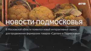 НОВОСТИ ПОДМОСКОВЬЯ