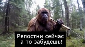 Утро началось бодро а потом встретил ее!