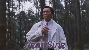 МОИ  ЗВЁЗДЫ VHS НГАЙ СИНГ  (Ngai Sing)