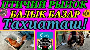 16-07-2025 РЫНОК ПТИЦ И РЫБ
