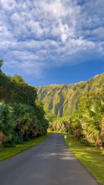 🌅 Доброе утро, мир! 🌊🌺 - Подышите позитивом на весь день! 🌟 смотреть онлайн