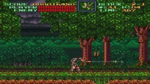 🎮 Super Castlevania IV NO DAMAGE (snes, 16 bit, super nintendo)