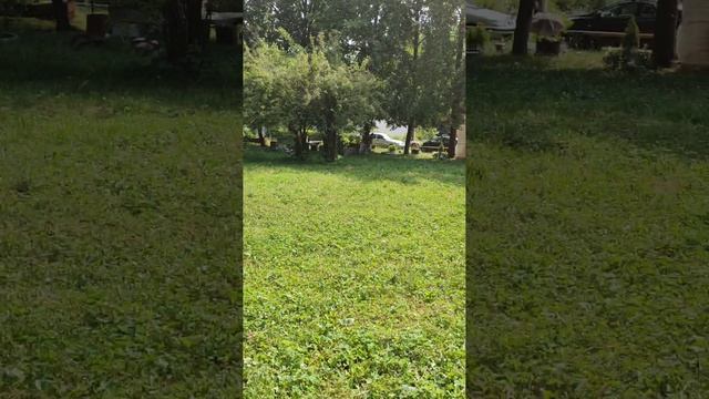 Аномалии на детской площадке