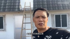 Сяо Хэ из Цяотоу - Дядя по отцовской линии обнаружил на крыше осиное гнездо