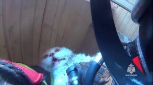 В Чувашии пожарный вынес кота из сгоревшей квартиры и вернул его к жизни