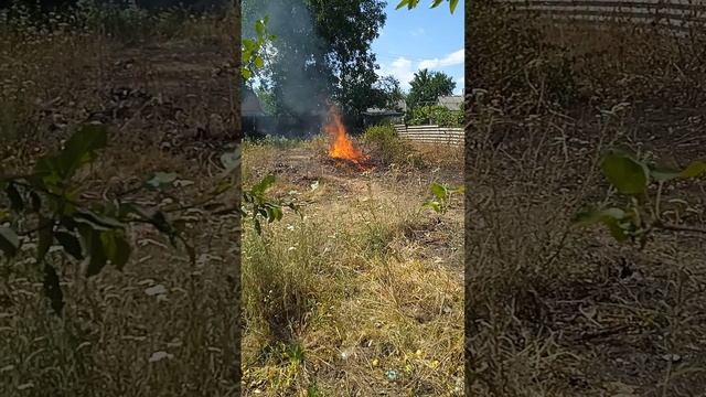 1000068552.mp4