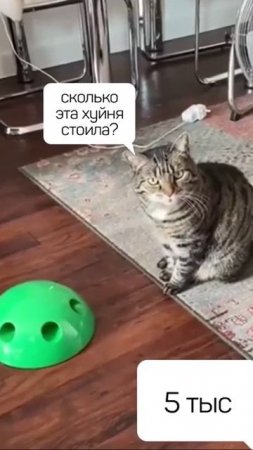 1000149388.mp4