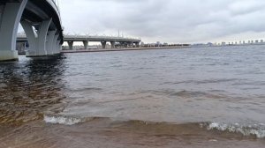 Питер. 6.12.24 Финский залив