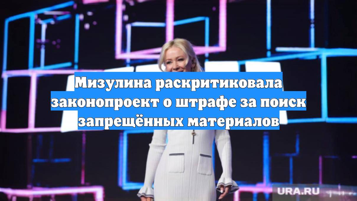 Мизулина раскритиковала законопроект о штрафе за поиск запрещённых материалов