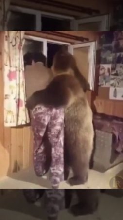 Мой друг