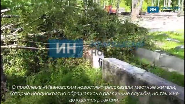 В Иванове дерево упало на воинские захоронения