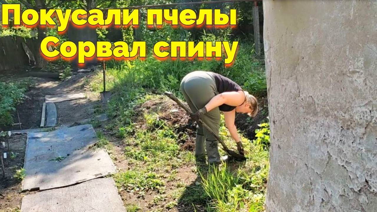 ПОКУСАЛИ ПЧЕЛЫ / СОРВАЛ СПИНУ (15 СЕРИЯ)