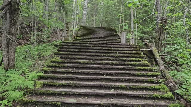 Карелия. Руины православной церкви в Кителя, Импилахти.