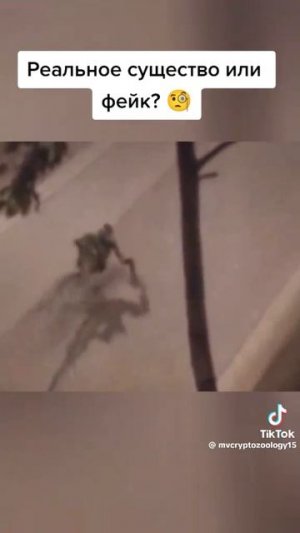 что ты такое