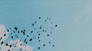 Музыка дождя