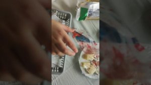 Собачки Lucky doggy едут в поезде 044 Москва Адлер вагон СВ