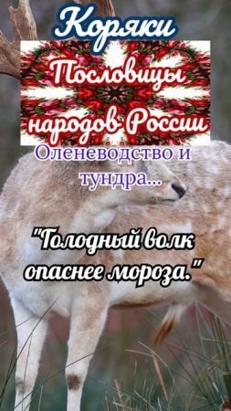 пословицы