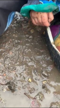 Внук тёти Кати в луже