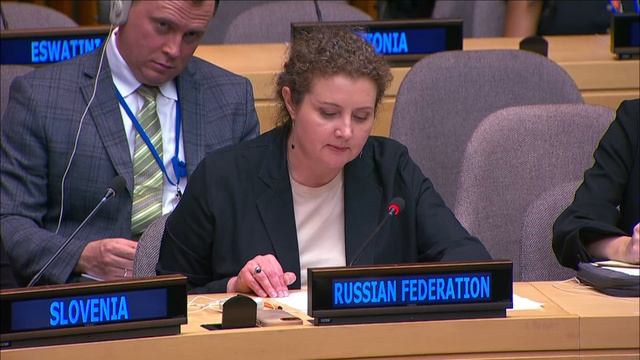 Statement by DPR Anna Evstigneeva at an Informal UNSC Arria Formula Meeting