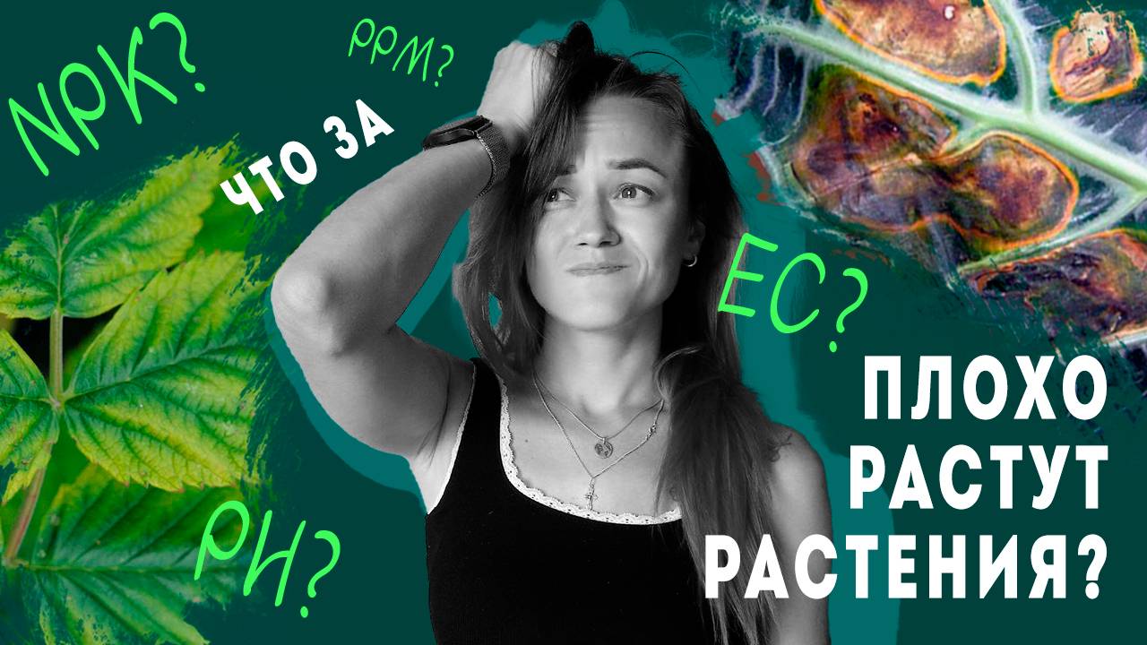ПРИЧИНЫ плохого роста растений / NPK, PPM, PH EC / Макро и микро / Как подготовить воду для полива?