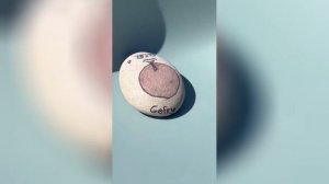 Best video of Tik Tok! 16.07.25 / 10