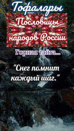 пословицы