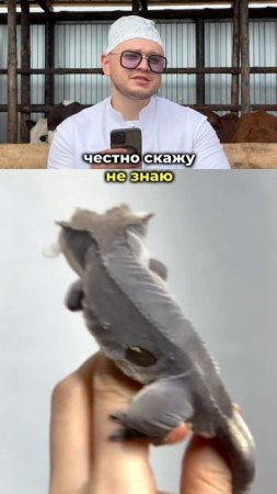 Безопасно ли это?
