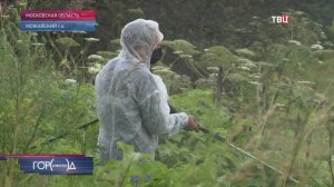 Обочины подмосковных трасс избавят от одной серьезной проблемы / Город новостей на ТВЦ