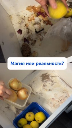 Приехала пожить в гости и не смогла пройти мимо💜