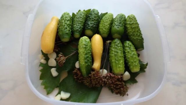Засолка огурцов вместе с кабачками. №2.  (2)