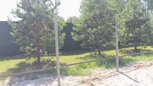 Что сделано на 10 июля