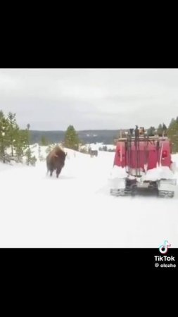 смешное видео 😋