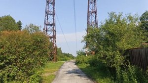 Магнолия